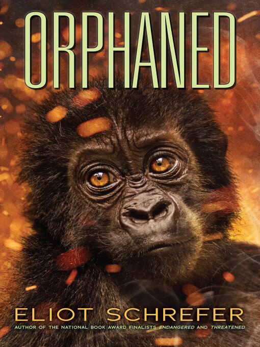 Title details for Orphaned by Eliot Schrefer - Wait list